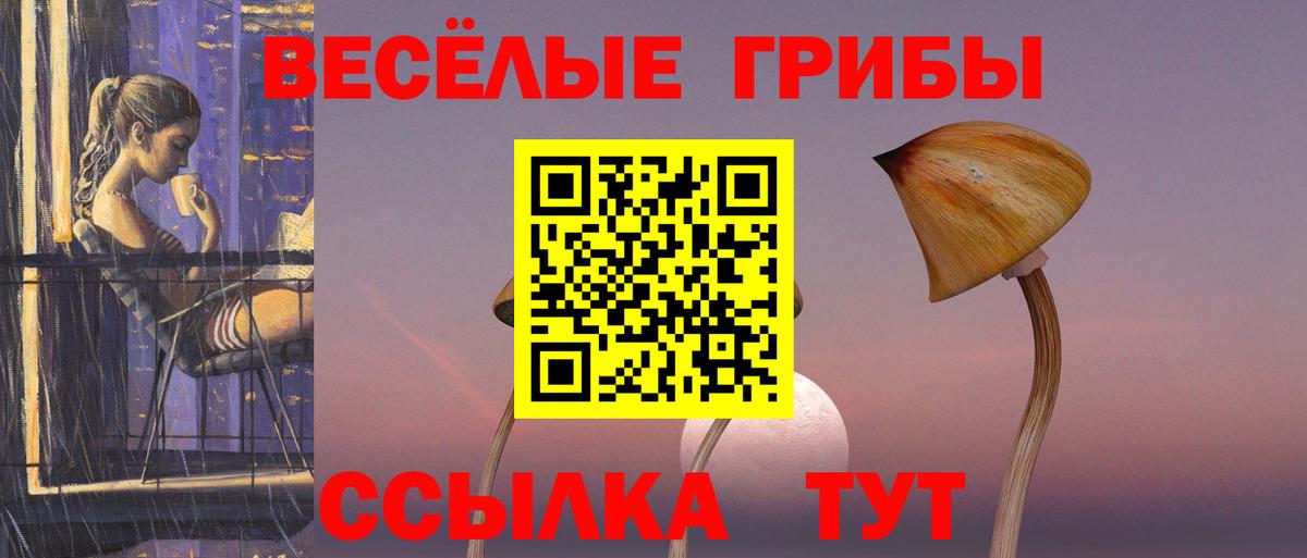 Галлюциногенные грибы Cubensis  наркошоп  Десногорск  Вход с VPN 